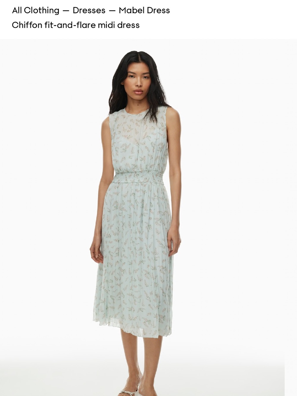 Aritzia Wilfred Chiffon Midi Dress — Pale Blue Floral